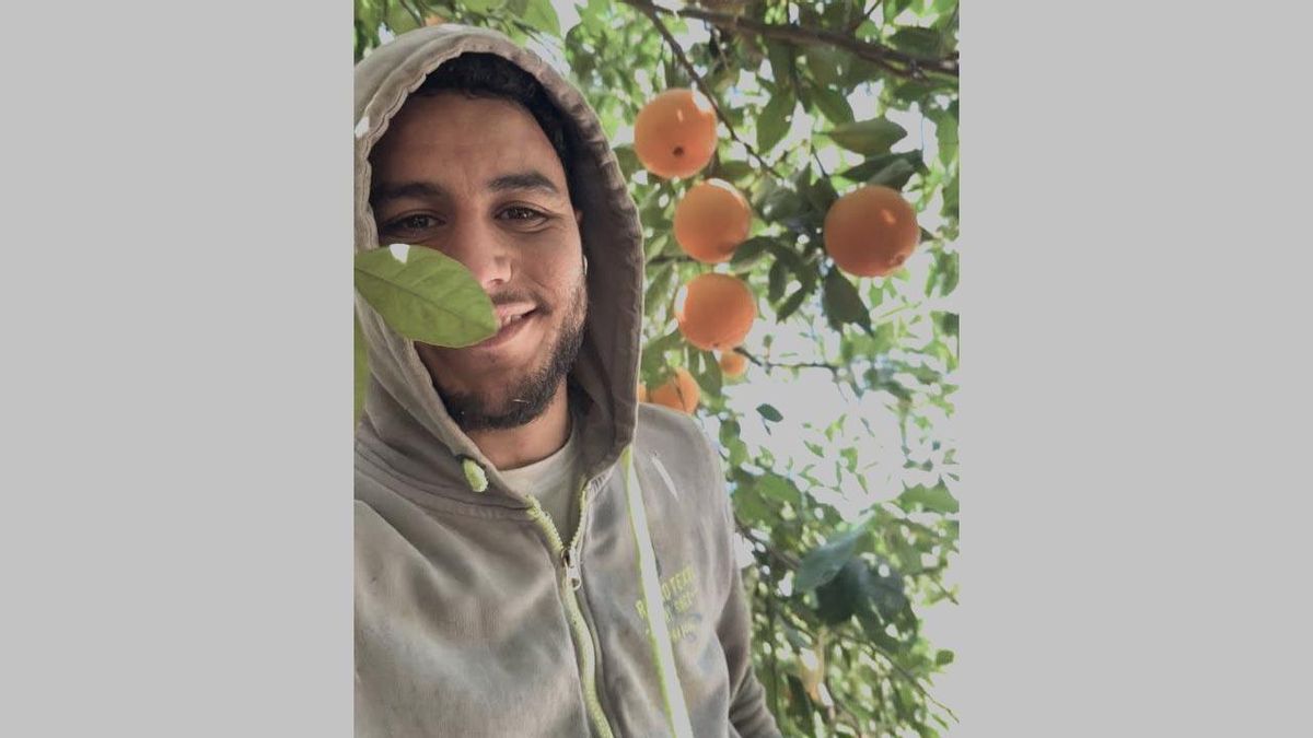 Mounir en una foto que se realizó mientras trabajaba como jornalero en las fincas de la naranja de Almoradí (Alicante)