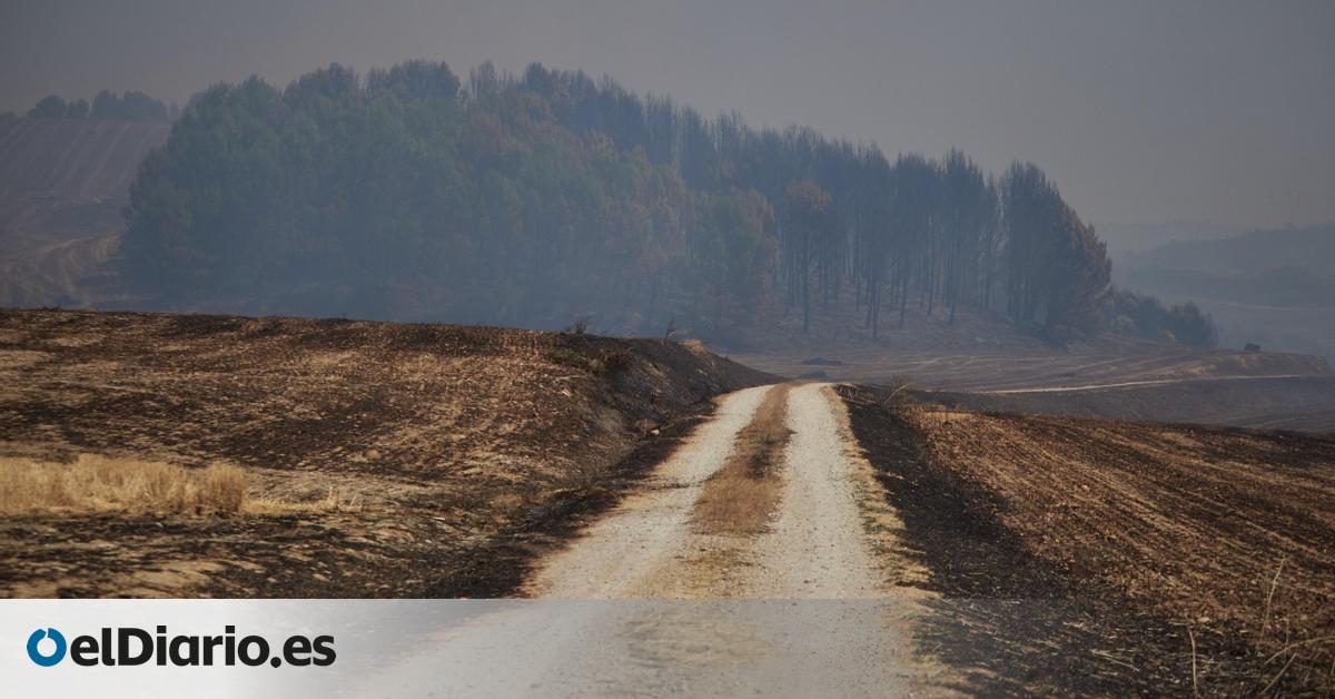 Controlados en Navarra el incendio de Artajona y el de la zona de Enériz, Muruzábal, Añorbe y Obanos