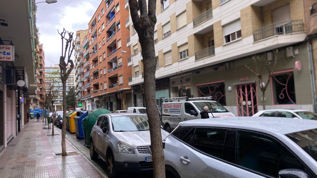 La reivindicación vecinal para que la nueva calle Lardero de Logroño mantenga los árboles