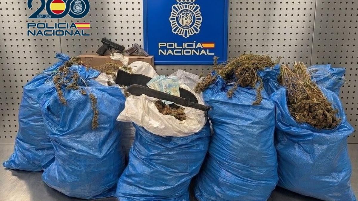 La Policía Nacional desmantela una importante plantación de marihuana y detiene a dos personas