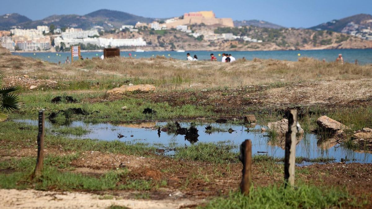 L’endemà de la tronada, les platges urbanes d’Eivissa van recordar que, abans del boom turístic, havien estat zones humides