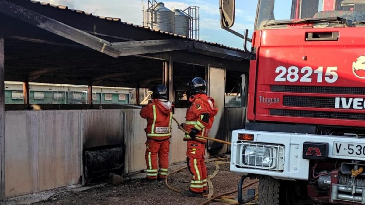 Imatge de la intervenció dels bombers en la granja.