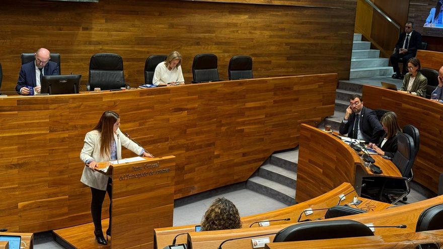 Vox acusa a Barbón de convertir a Asturias en el "cementerio de los autónomos"