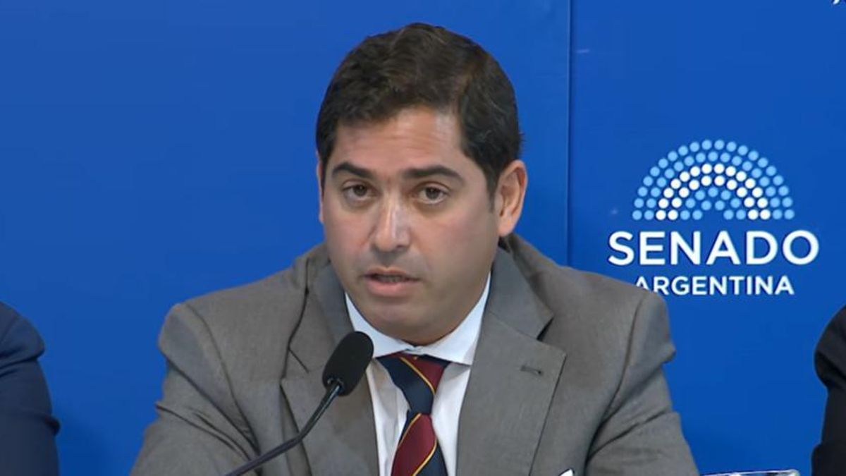 El hijo de Rosatti expuso ante el Senado para ser designado juez federal y habló de "discrecionalidad política"