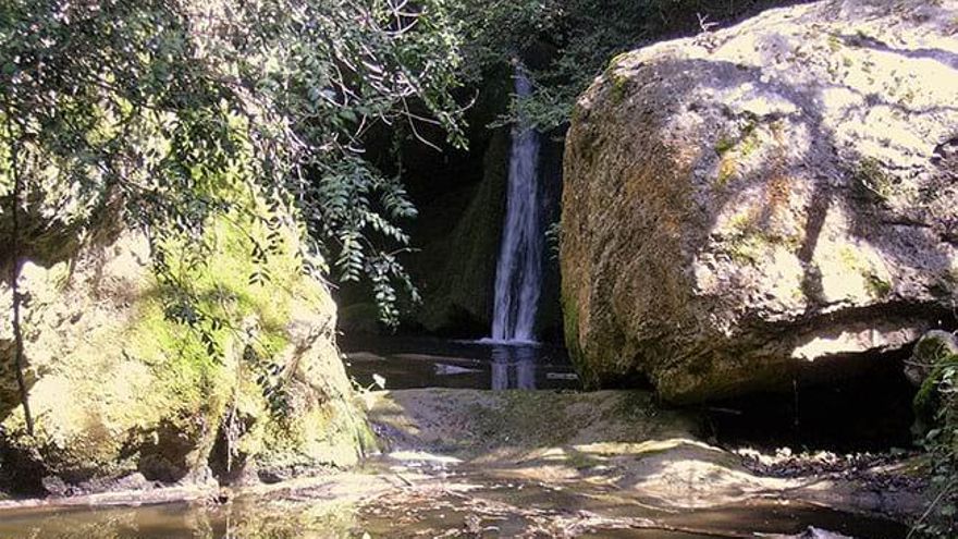 La Riera de Martinet. Parcs Naturals.