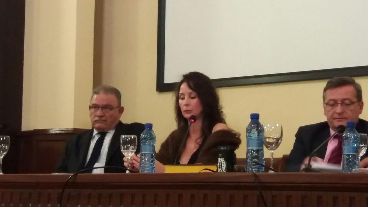 Alaya lamenta que la interferencia política en la justicia ha aumentado con los casos de corrupción