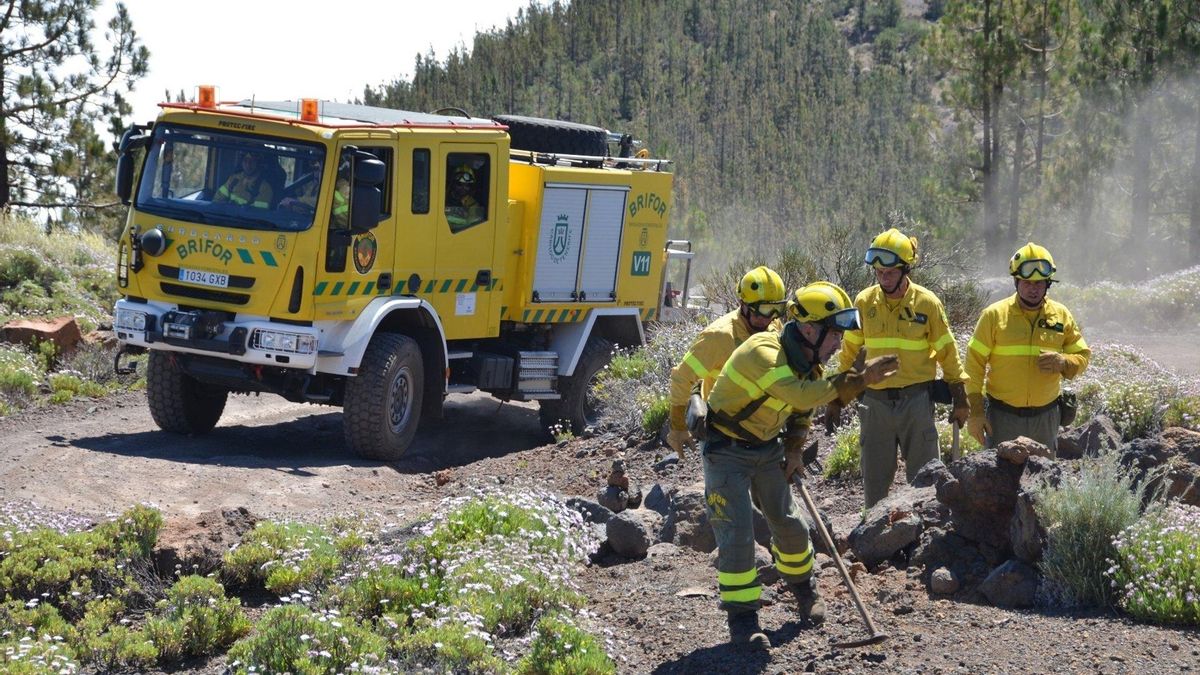 BRIGADA FORESTAL DEL CABILDO DE TENERIFE
- CABILDO DE TENERIFE