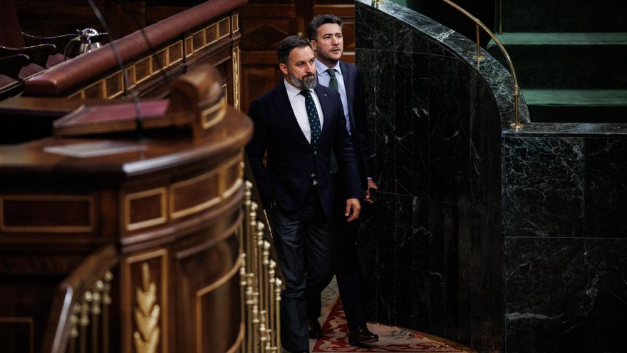 El líder de Vox, Santiago Abascal.