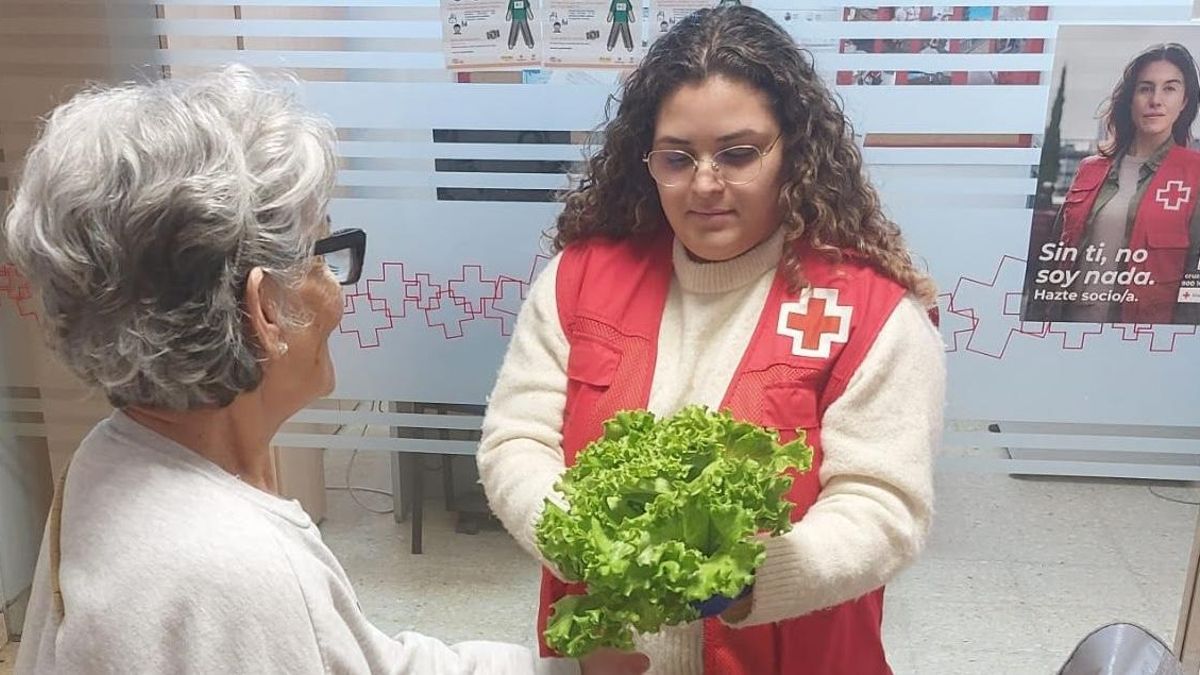 Cruz Roja y Cabildo refuerzan la atención a las familias vulnerables de La Palma con la entrega de alimentos frescos