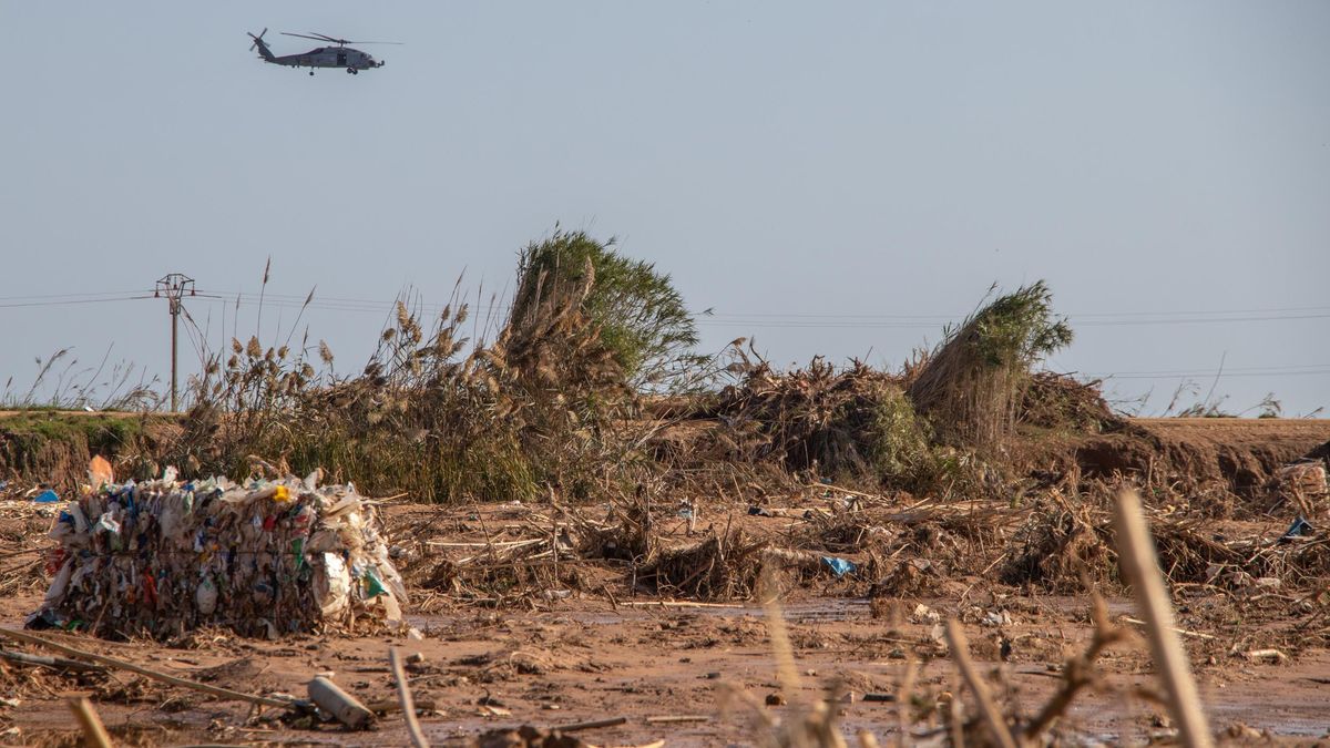 Residuos en los arrozales de Catarroja.