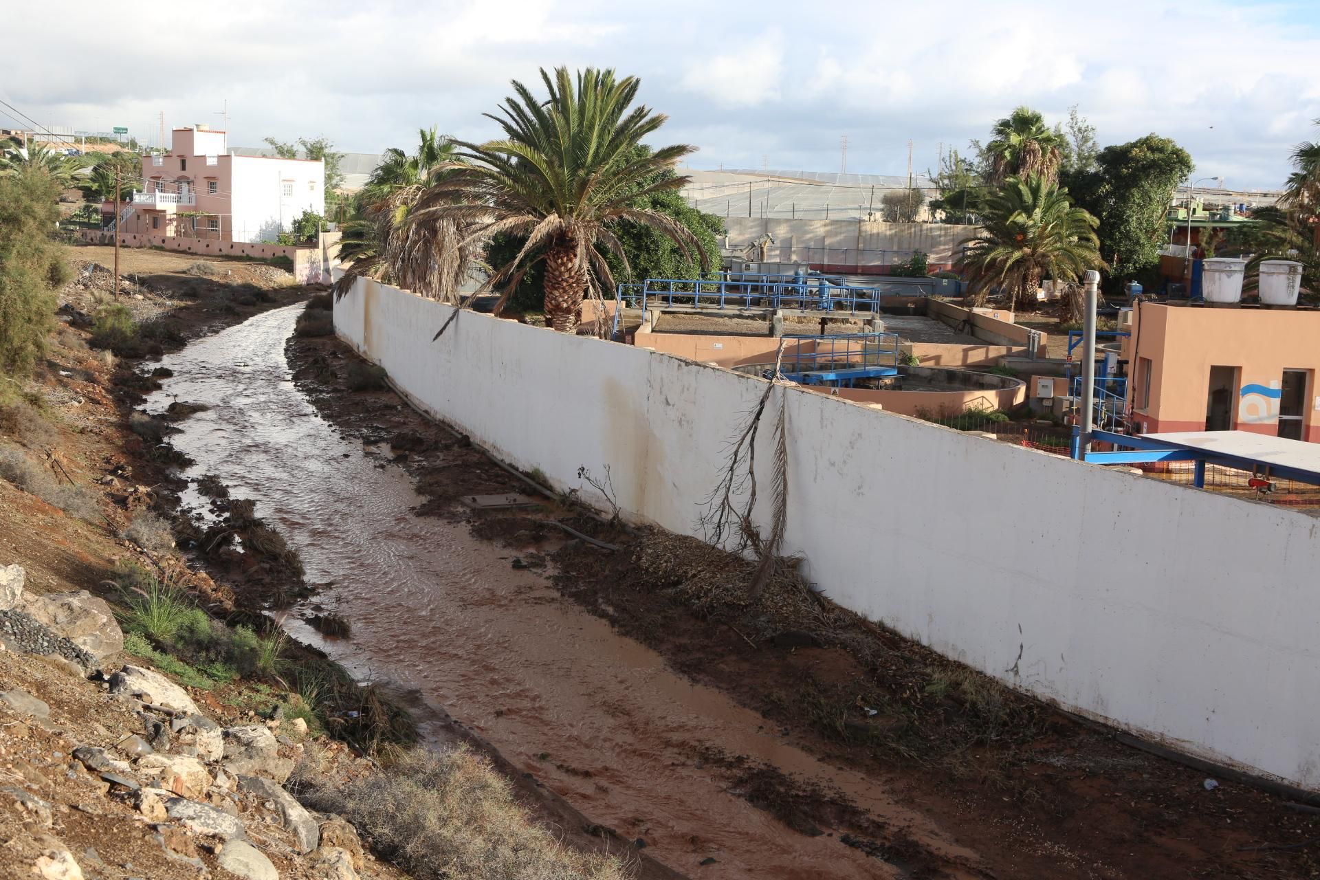 Temporal en Ojos de Garza. (ALEJANDRO RAMOS)