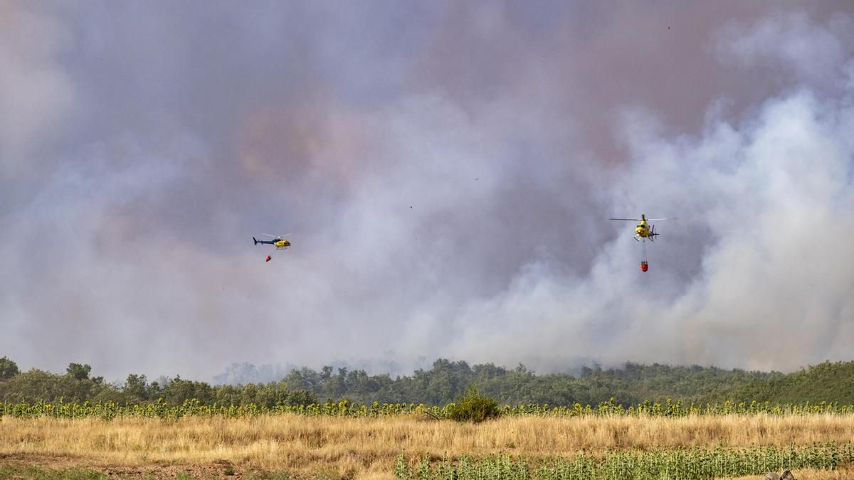 Última hora sobre los incendios en España: la UME se moviliza por el incendio de Toledo que ya ha saltado al sur de Madrid