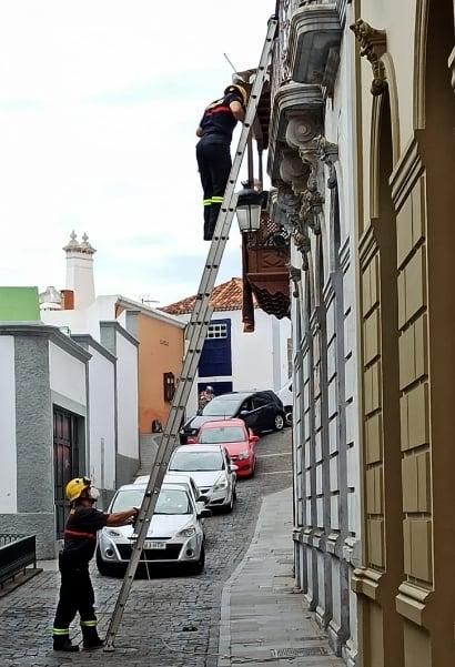 Los bomberos durante la intervención. BOMBEROS LA PALMA