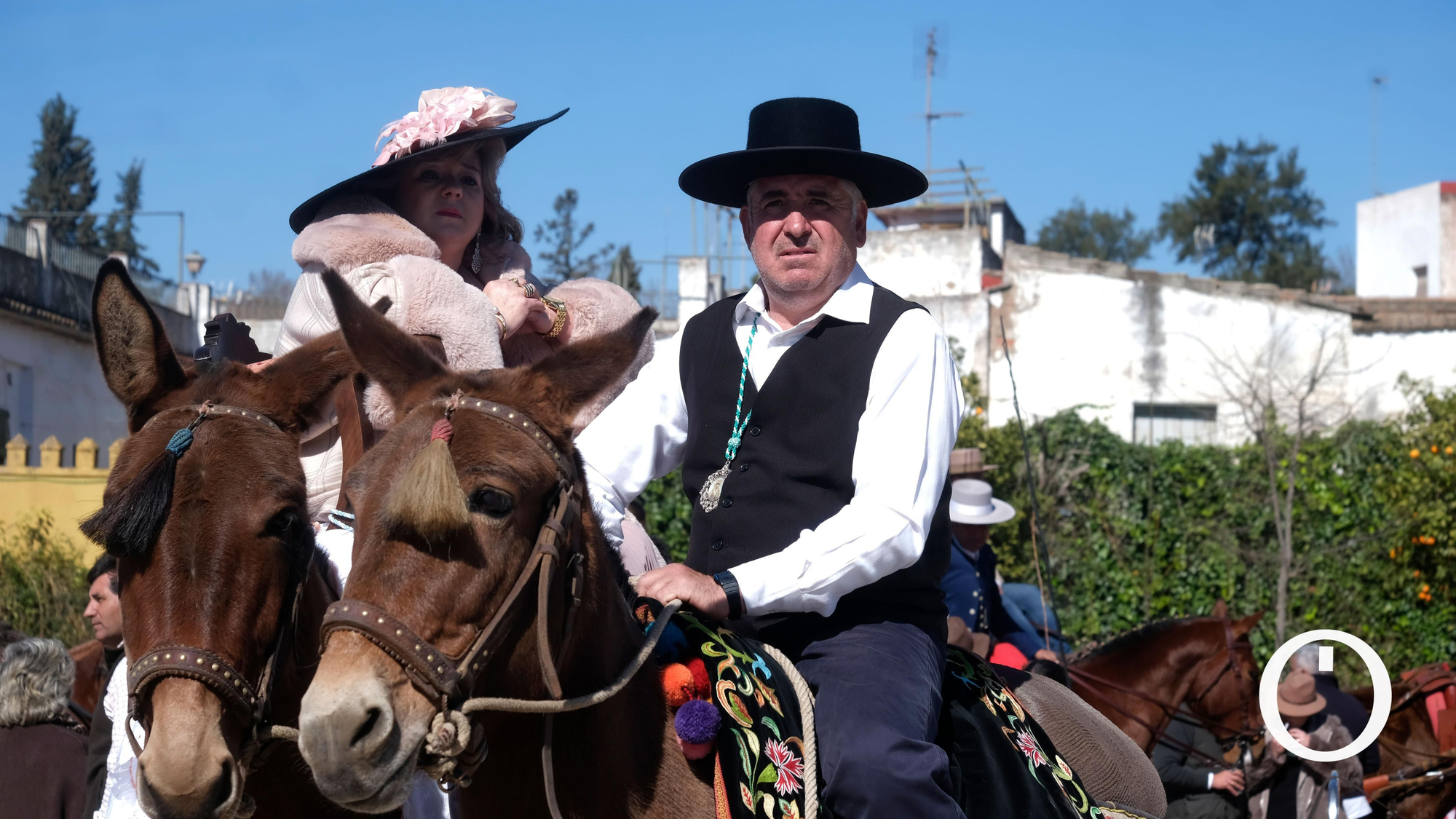 Quince años mostrando la belleza del caballo por el Día de Andalucía