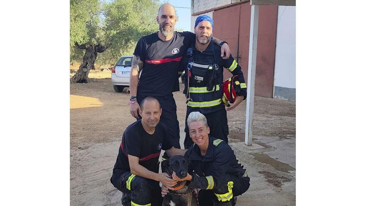 Rescatan a una perra que cayó a un pozo de 25 metros de profundidad