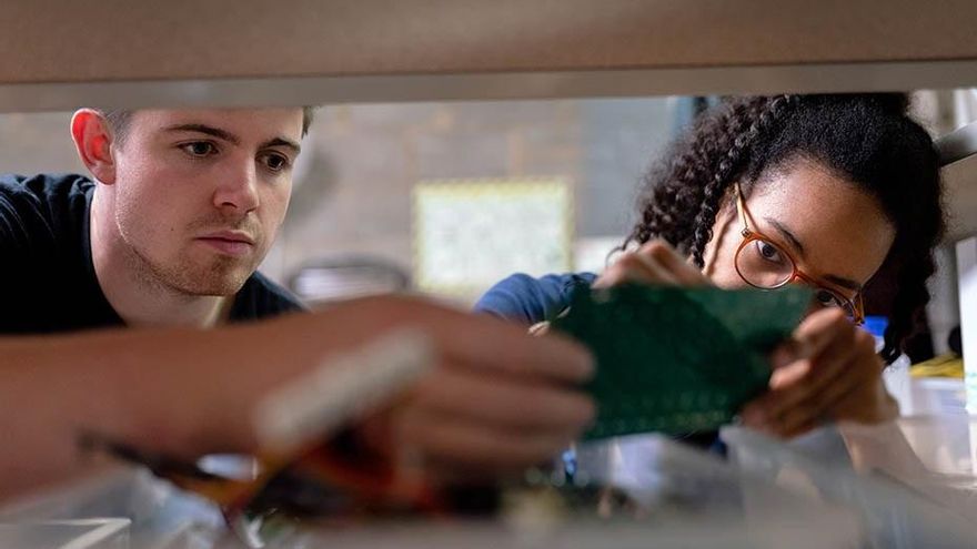 Ellas más de igualdad, ellos más de libertad: la brecha política entre chicos y chicas jóvenes es más grande que nunca