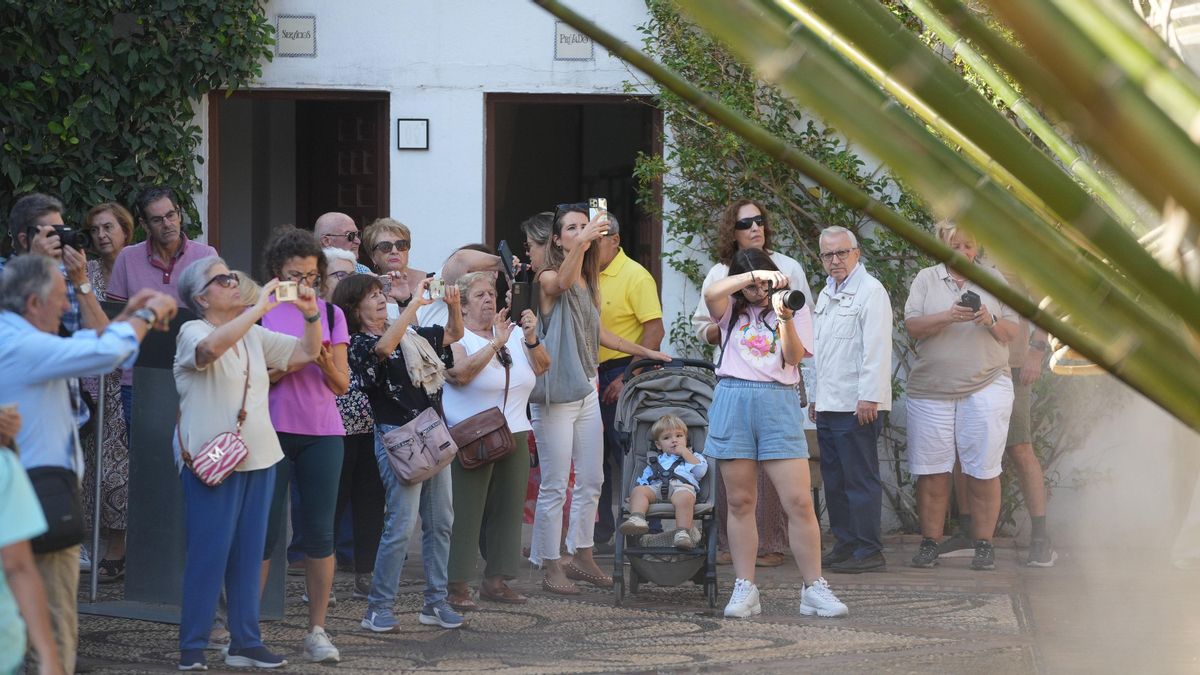 Flora vuelve a superar las 200.000 visitas en su octava edición