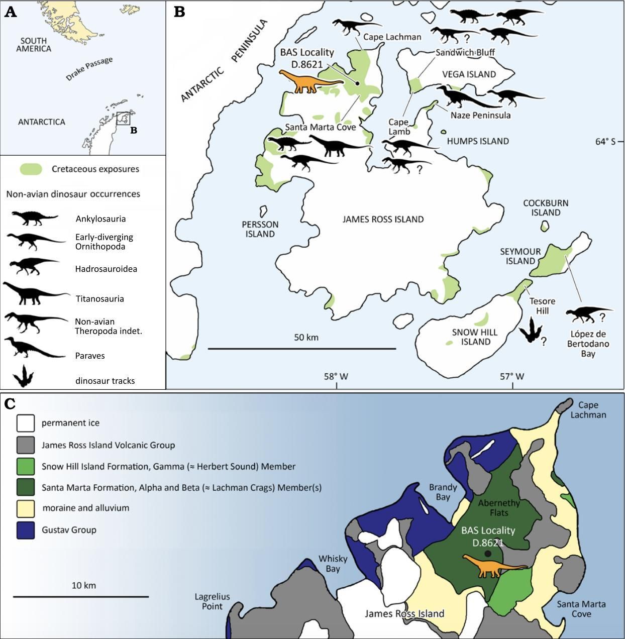 Procedencia geográfica de BAS D.8621.24, una vértebra caudal anterior identificada como Eutitanosauria indet., y otros descubrimientos de dinosaurios no aviares del Cretácico Antártico.