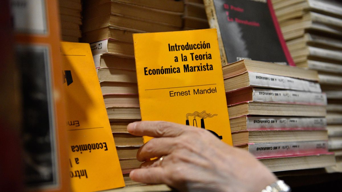 Más de 235.000 libros fueron escondidos en la Librería Hernández.