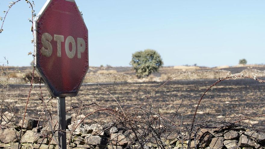 La Junta pide “todo el peso de la ley” sobre el peregrino detenido por prender el incendio de Castrillo de los Polvazares