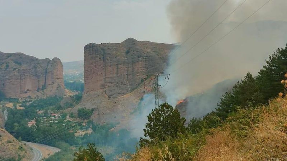 Incendio forestal en las peñas de Viguera