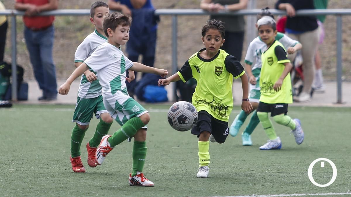 Torneo Benéfico de fútbol base