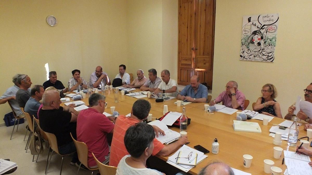 El Consejo del Movimiento Ciudadano urge a cerrar inversiones y proyectos comprometidos en la Periferia