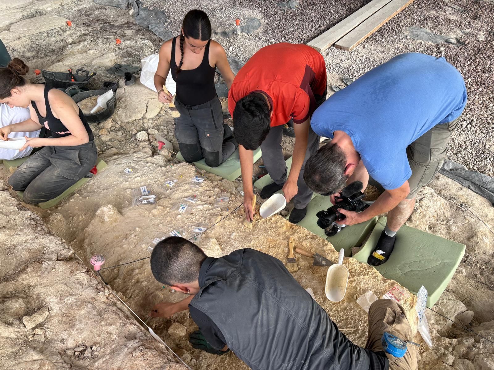 Los estudiantes universitarios son parte esencial de la búsqueda de restos fósiles