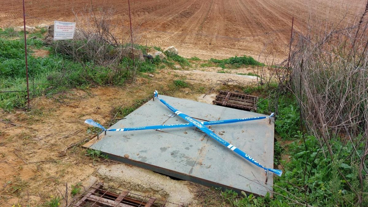 Un nuevo informe admite que no puede atribuir a los pozos ilegales de los Alba la "exclusividad" de los daños en el acuífero