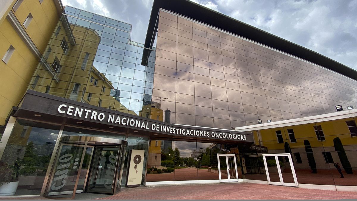 La Asociación Española contra el Cáncer abandona el patronato del CNIO por los escándalos de corrupción