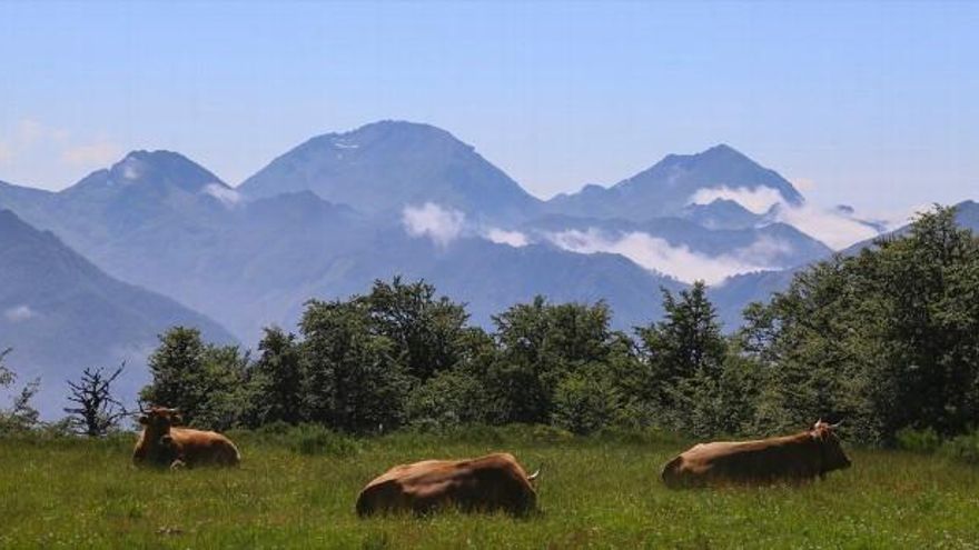 Eduardo Margareto / ICAL El Valle de Sajambre desde el puerto de Panderuedas