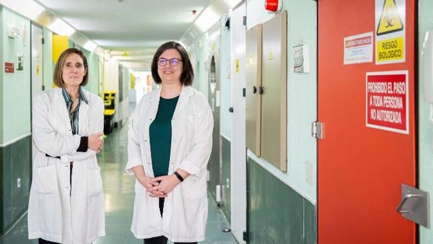 Isabel Sola (izquierda) y Sonia Zúñiga, dos investigadoras de referencia en coronavirus en el Centro Nacional de Biotecnología (CNB-CSIC). / Álvaro Muñoz Guzmán, SINC