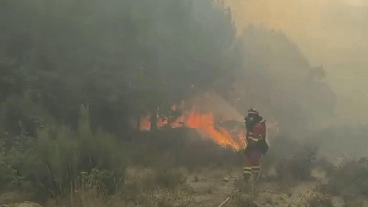 Muere un bombero forestal en un accidente de tráfico cuando se dirigía al incendio de Ávila