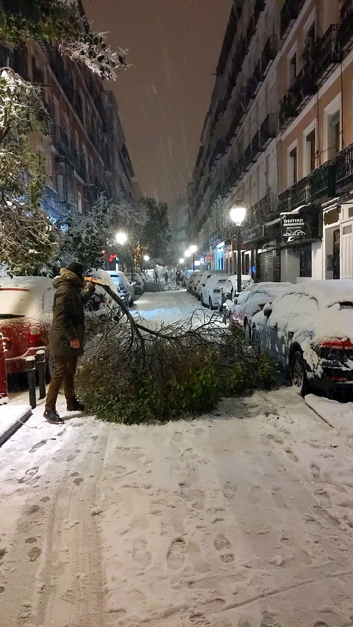 Ramas y árboles caídos en Malasaña a causa de la nieve
