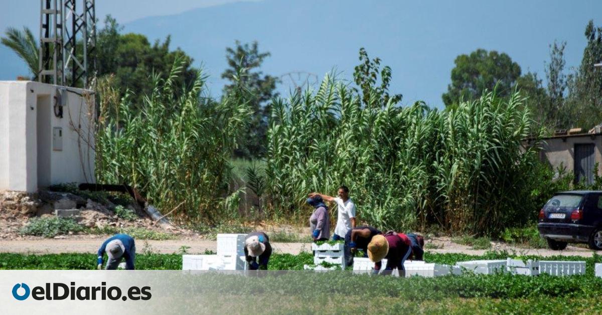 El círculo vicioso de la región menos productiva: Murcia sobrevive entre el empleo precario y el abandono escolar