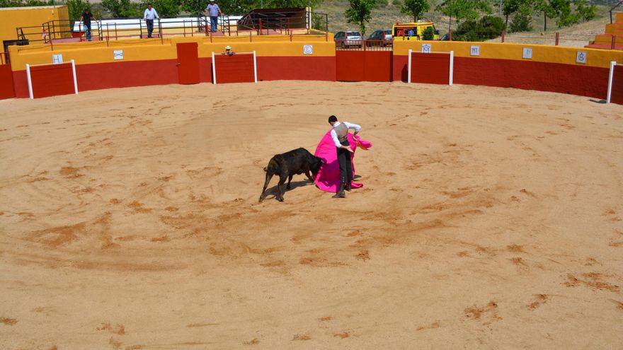 La Fundación Franz Weber califica de "vomitivo" el apoyo de la Diputación de Toledo a su escuela taurina