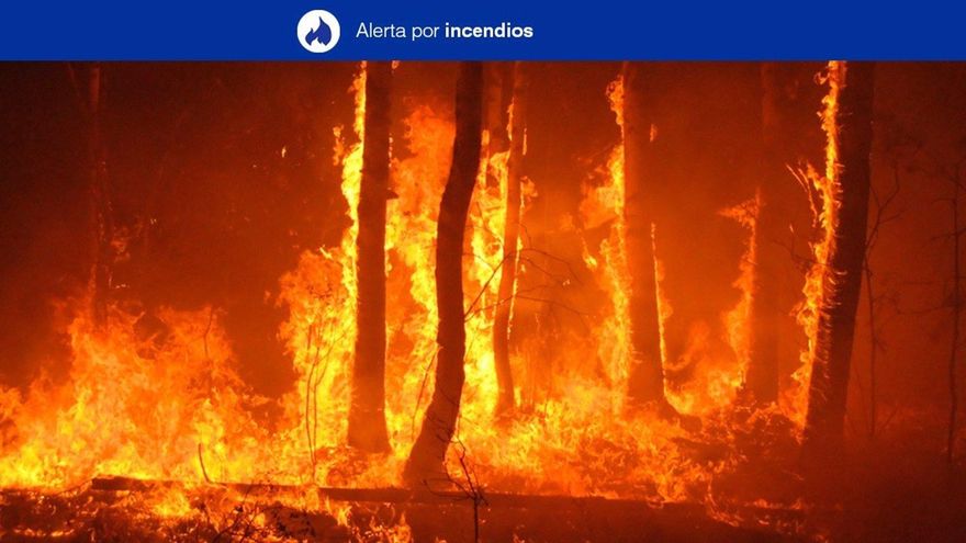 La ola de calor obliga al Gobierno canario a declarar la alerta por riesgo de incendios forestales en varias islas