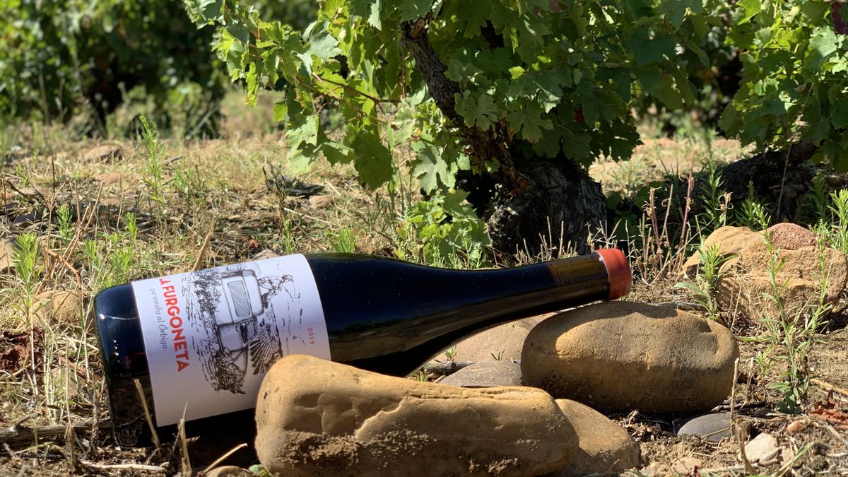 La Furgoneta que miraba al Órbigo, el proyecto de recuperación de viñedo en tierra de lúpulo.