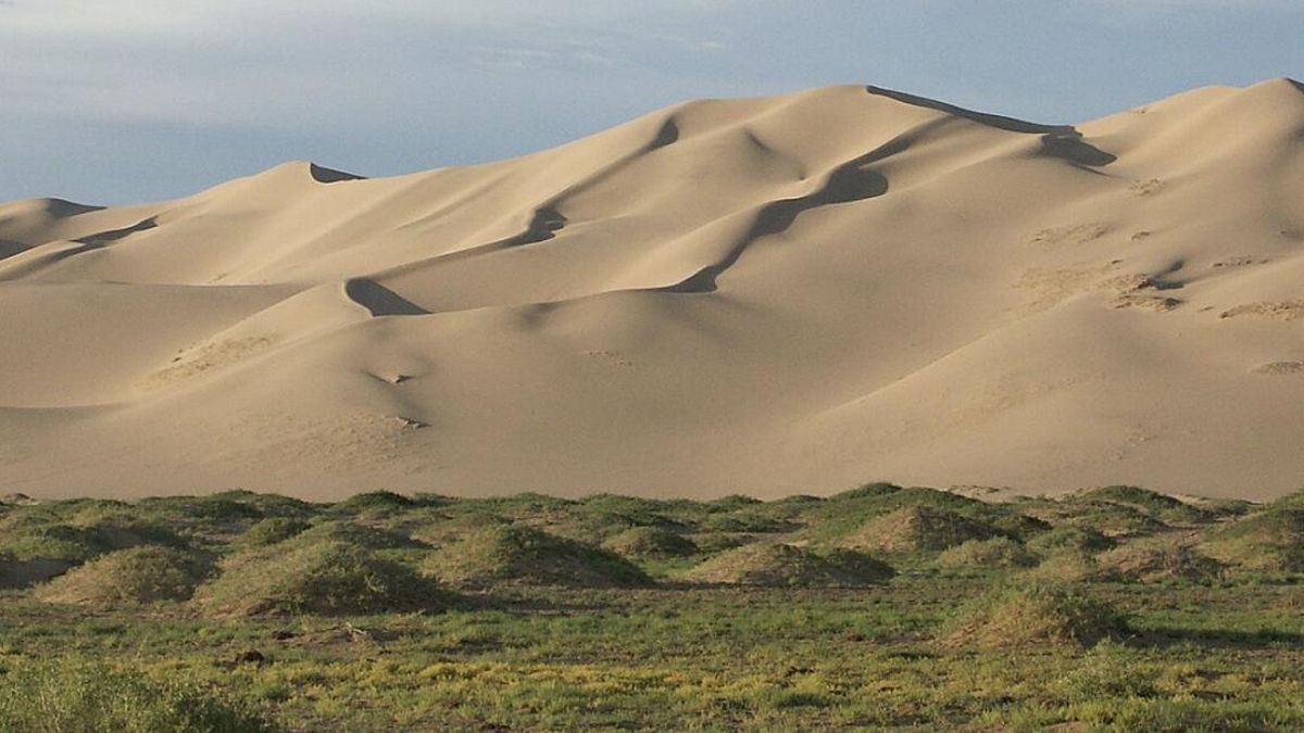 El debate sobre reforestar ya no se limita a plantar, sino a calcular bien sus efectos