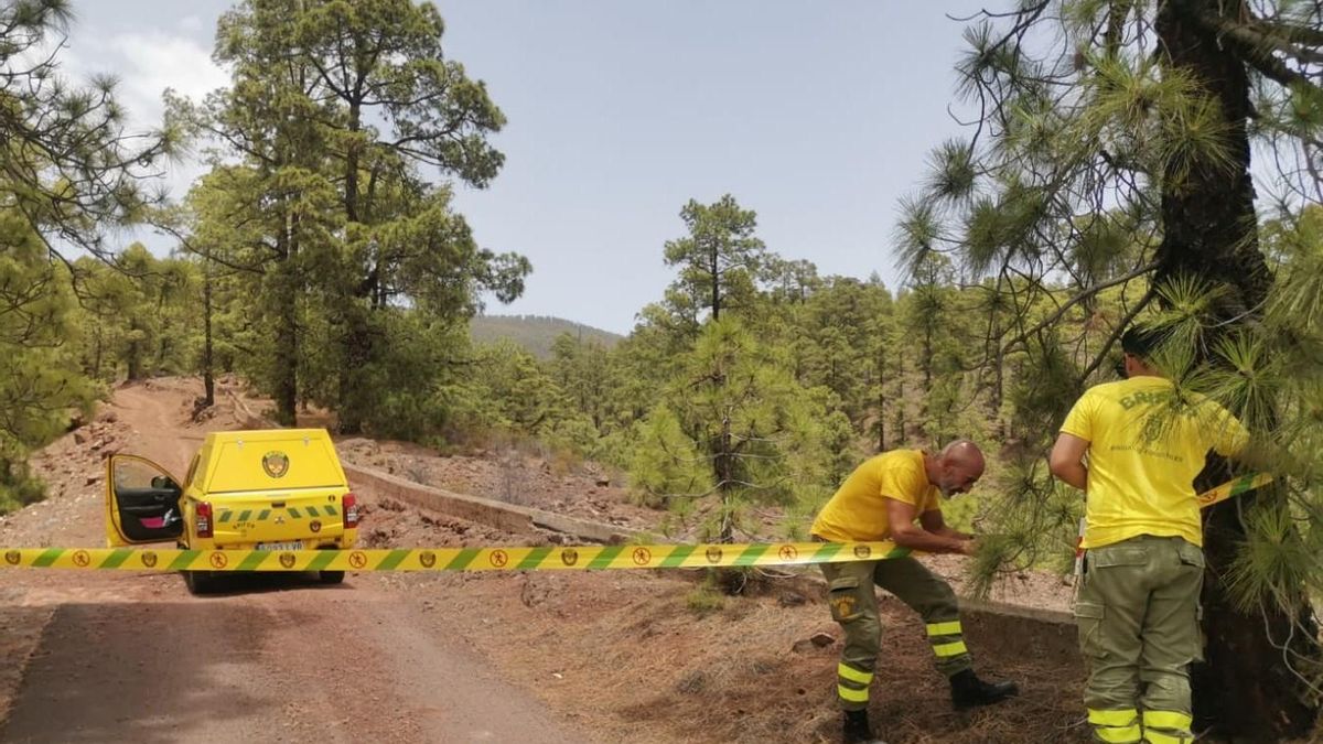 The Cabildo closes access to the mountains of Tenerife due to fire risk and the heatwave coinciding with the Perseids.