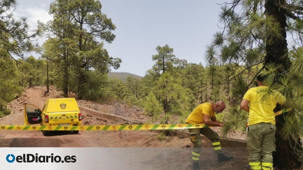 El Cabildo de Tenerife mantiene la prealerta de riesgo de incendios pese al descenso de las temperaturas