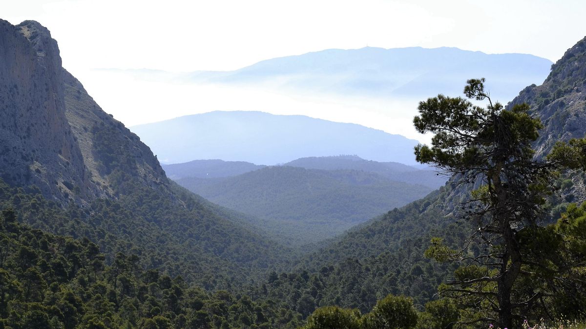 Sierra de Espuña, en Murcia, uno de los espacios protegidos de España incluido en la red Natura 2000. EFE/Archivo