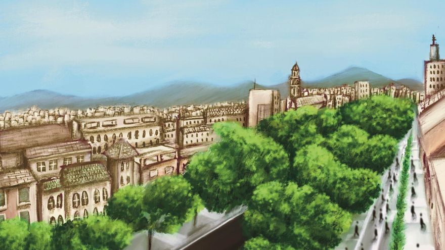 Por qué se necesitan árboles centenarios en las ciudades