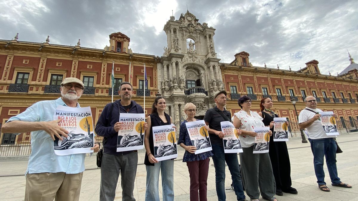 Representantes de algunas de las entidades convocantes, ante San Telmo.