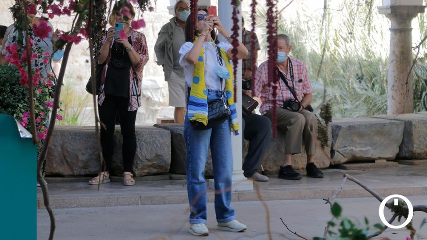 Instalación de Flora 2021 en el Museo Arqueológico