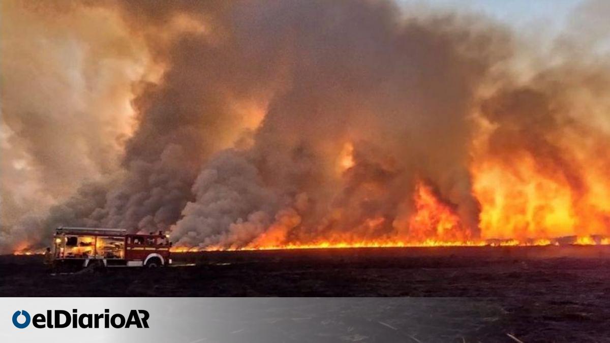 Humo y focos de incendio en las islas del Delta del Paraná: aguardan la ...