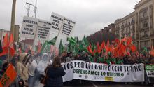 Una parte de los manifestantes