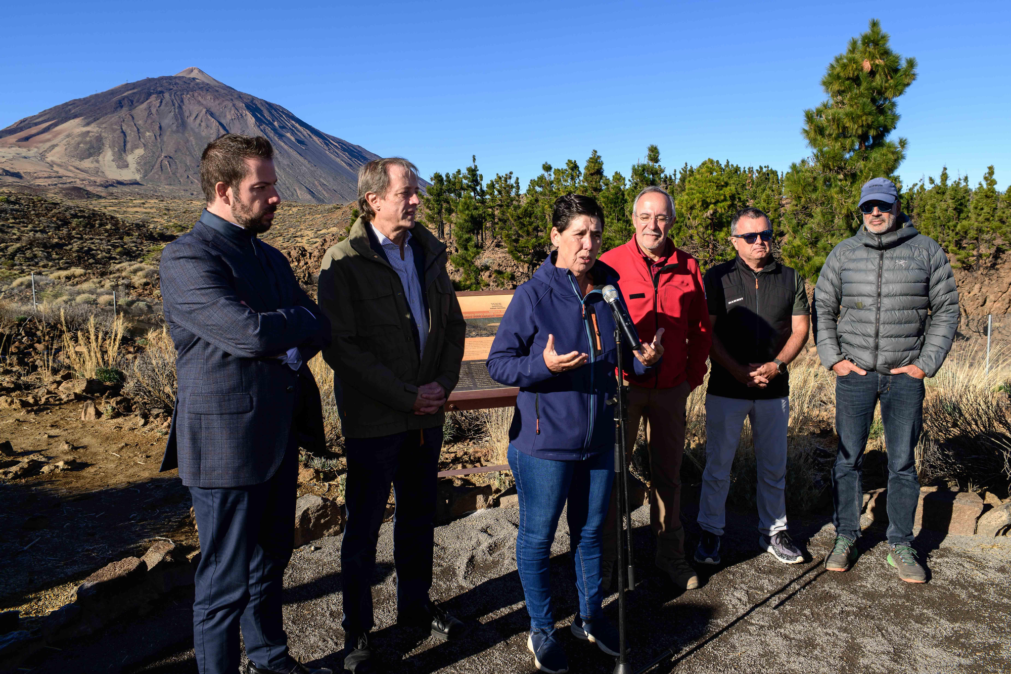 El Cabildo de Tenerife y Fundación Endesa han presentado este lunes los primeros resultados de los dos proyectos de conservación complementarios en el Parque Nacional del Teide.