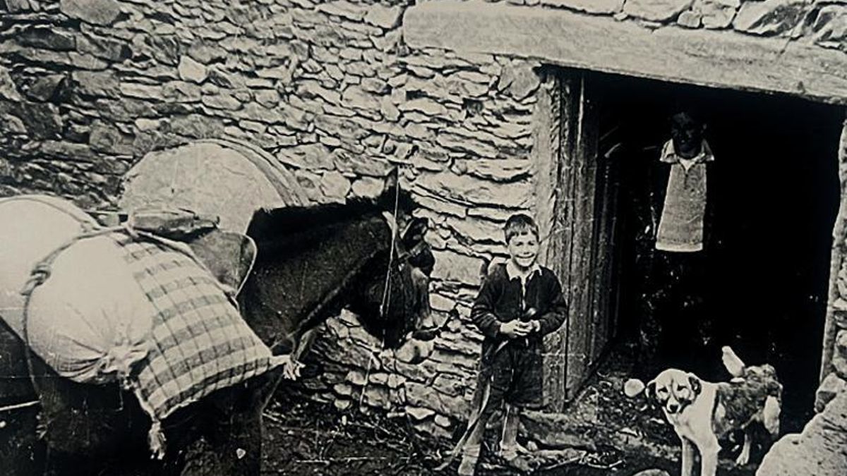 Más allá de la Mancha: quedan 15 molinos de agua en la Sierra Norte de Guadalajara que pueden regresar del olvido y la ruina