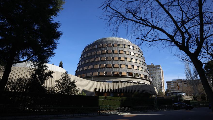 El Constitucional respaldará la "legitimación" de GuraSOS para poder pleitear contra la incineradora de Gipuzkoa